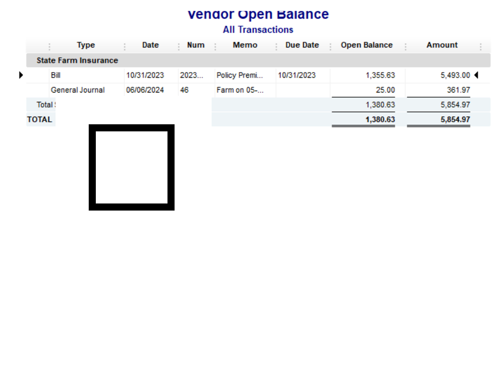 Vendor open balance report.png