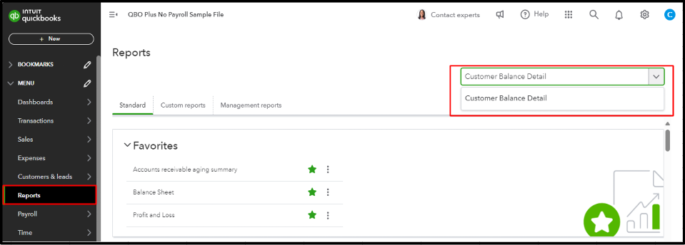 reports-customer balance detail.png