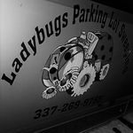 Ladybugs79