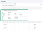 audit log1.png