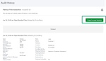 audit log2.png