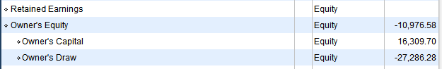 Owners Equity Accounts.PNG
