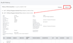 Audit2.PNG