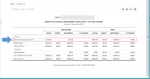 ClickArrowIconInBudgetsVSActualsReport.PNG