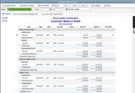 Customer Balance Detail.PNG