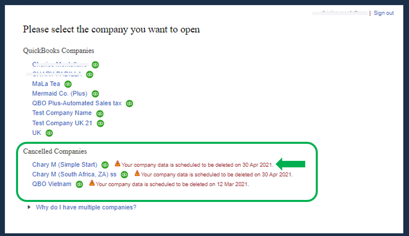 companyfile.PNG