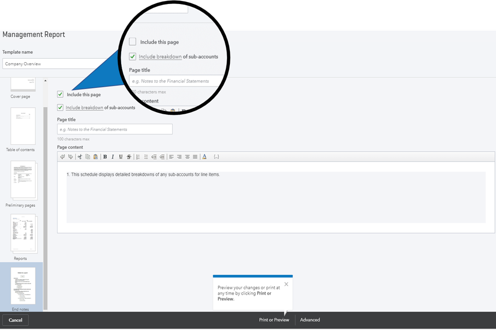 When editing your management reports select the Include breakdown of sub-accounts options and the report will automatically create supporting footnotes.