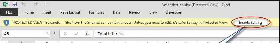 protected view.PNG