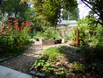 A lush and fun backyard design full of perennial edible plants mixed with native and non-native pollinator plants