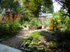 A lush and fun backyard design full of perennial edible plants mixed with native and non-native pollinator plants