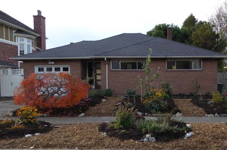 A front yard edible and pollinator garden featuring two apple trees and an olive tree