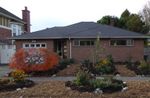 A front yard edible and pollinator garden featuring two apple trees and an olive tree