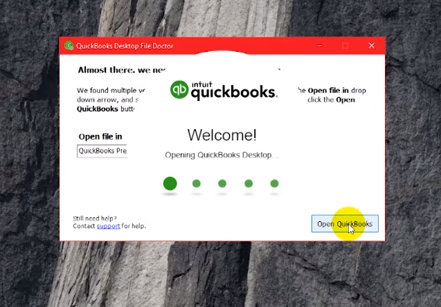 QuickBooks File Doctor 8.png