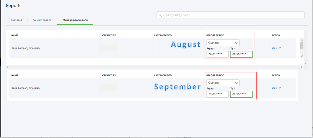SetTheReportPeriodToCustomForManagementReport.PNG