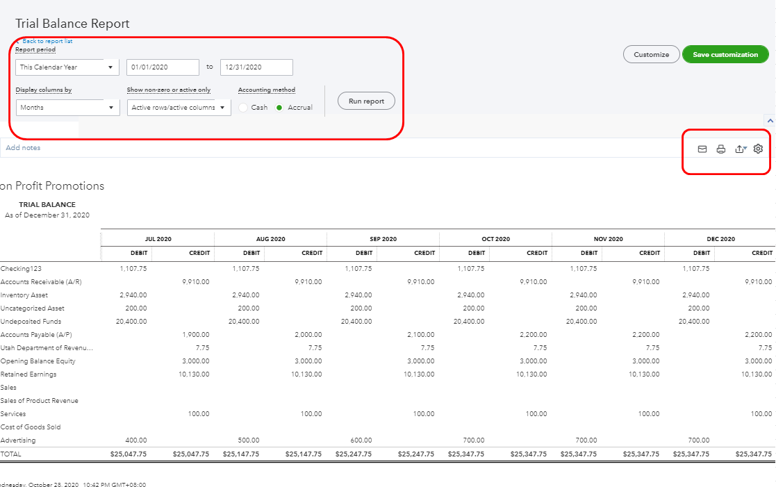 trail balance for the period transactions what are pro forma statements