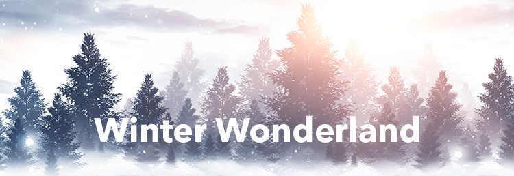 Show & Tell: Winter Wonderland