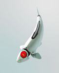 1 bot Koi.jpg