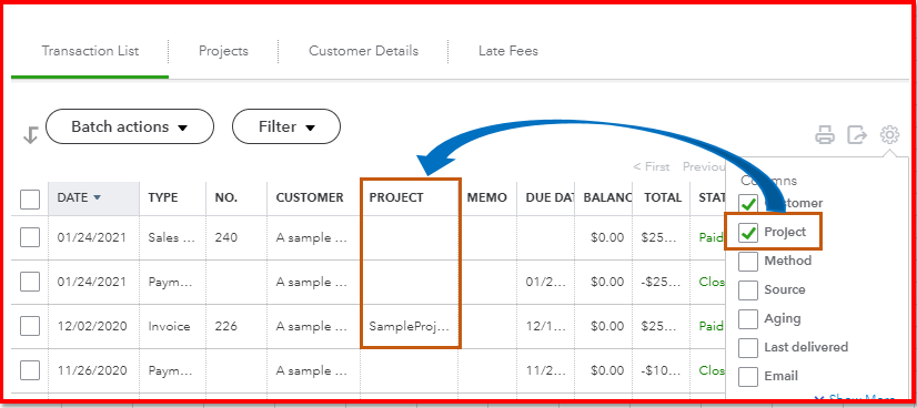 show project name.PNG