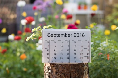 september.shutterstock.jpg