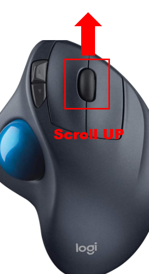 2.PNG