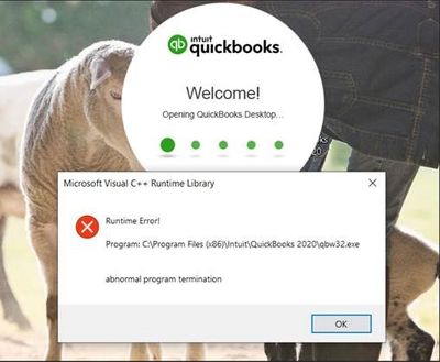 Error QuickBooks 2020.jpg