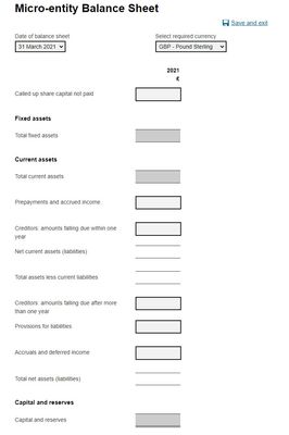 Companies House Micro Entity.jpg