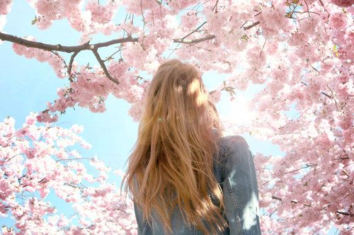 cherry.jpg