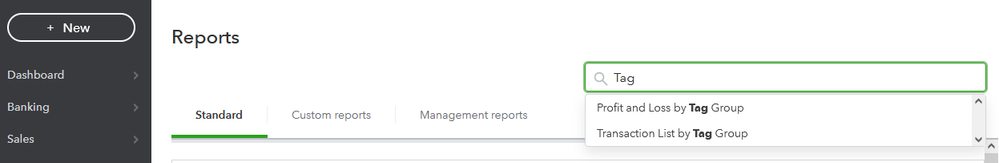 Screenshot Admin Report Search.png