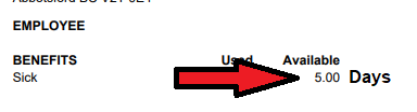Sick Days on Payslip instead of hours.png