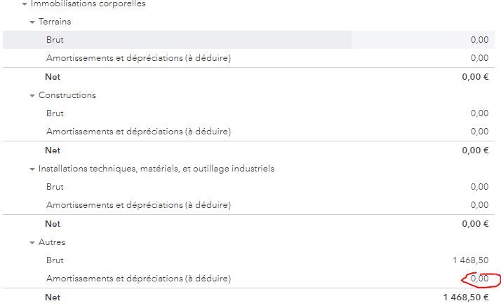 Amortissement bilan.JPG