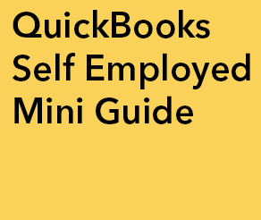 qbse mini guide.png