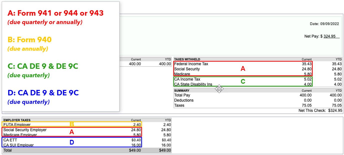 Payroll 101: Reporting the Payroll Taxes (Payroll Forms)