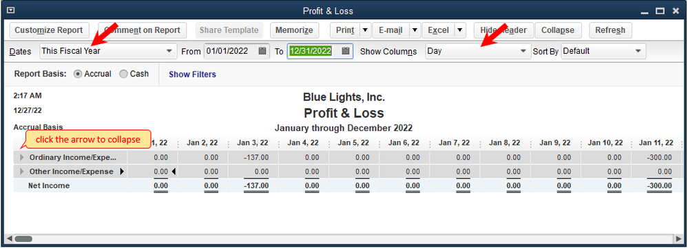 profit and loss standard.PNG