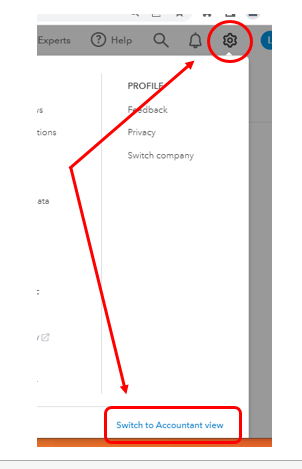 switch to accountant view.PNG