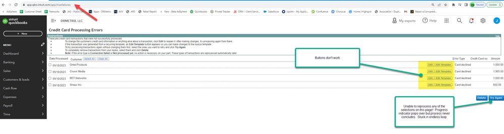 Quickbooks Bug.jpg