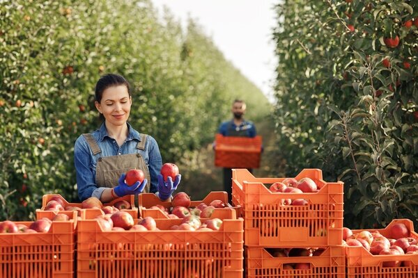 A person walking down a street next to a pile of oranges.