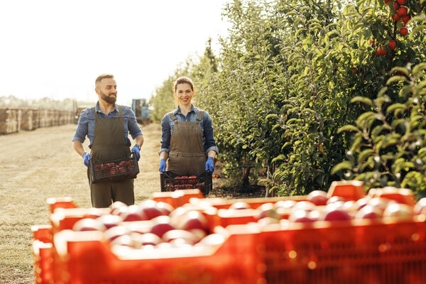 Two people standing next to a row of red boxes.