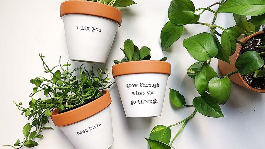 Rally and Roots clay pots with inspiration sayings: pot 1: I dig you., pot 2: grow through what you go through, pot 3: best buds