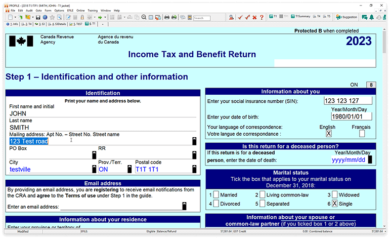 Turquoise ProFile T1 income tax and benefit return form