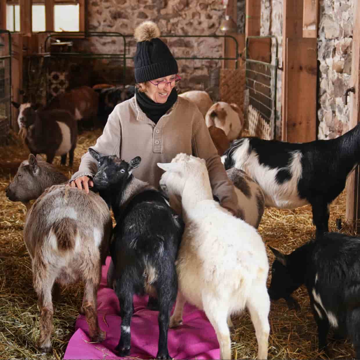 A person sitting on a floor surrounded by a group of goats.