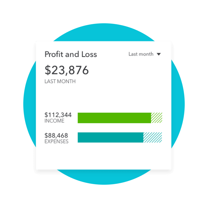 Profit and loss screen showing $23,876 profit last month, as well as overall income and expenses. 