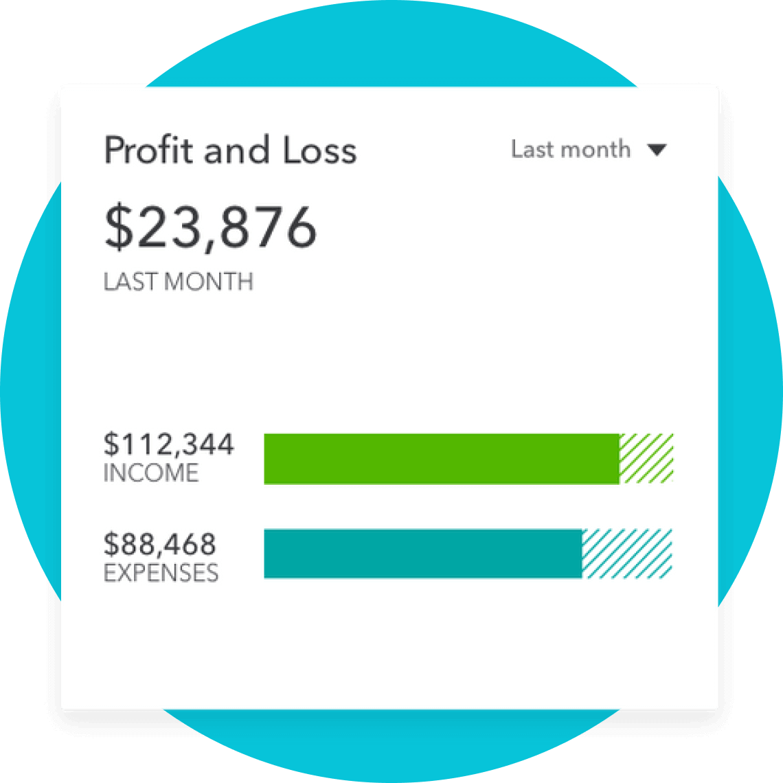 Profit and loss feature screen capture