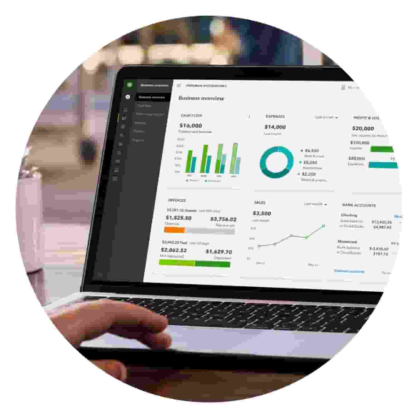 QuickBooks Online Business Overview showing cash flow, expenses, profit & loss, invoices, sales, and bank accounts.