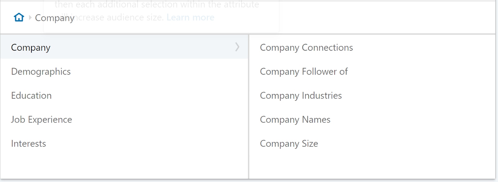 LinkedIn advertising organization.