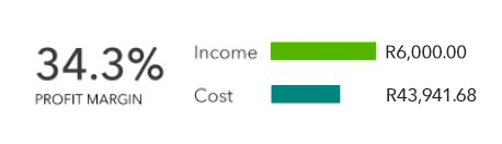 Profit margin calculation with bar chart.