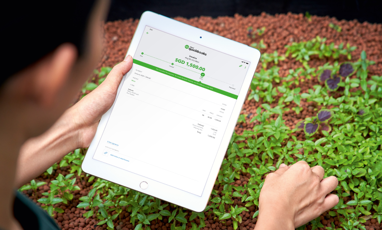Small business owner viewing invoice on QuickBooks invoicing software via tablet