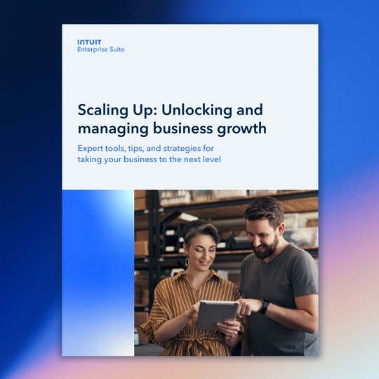 Download Scaling up: Unlocking and managing business growth