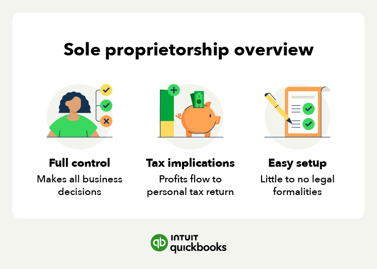 An illustration of a sole proprietorship and its basics, including full control, tax implications, and easy setup.