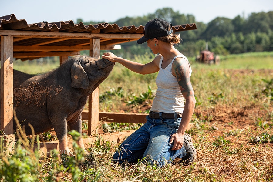 A person is petting a baby elephant on a farm.