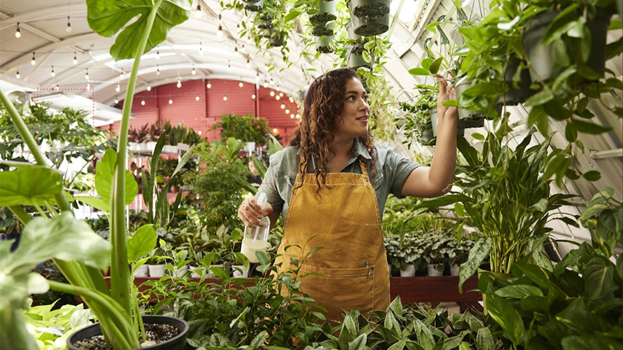 Guía de pequeñas empresas: The Plant Chica